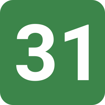 Logo 31