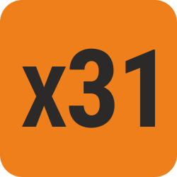 Logo X31